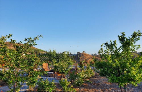 Temecula House | Unforgettable Southern Vines Suite in Wine Country
