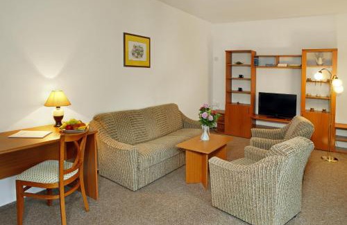 Marianske Lazne Hotel | Relax at Spa Hotel Devin with Oceanfront Views & More