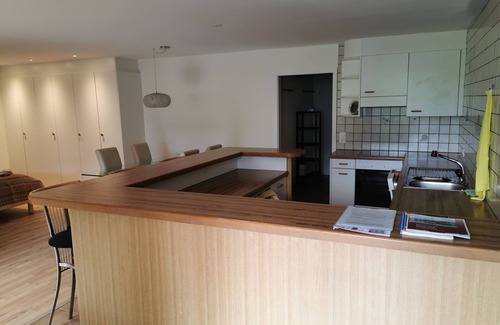 Horw Condo | Pet-Friendly 1-Room Apartment with Kitchen & Ocean View