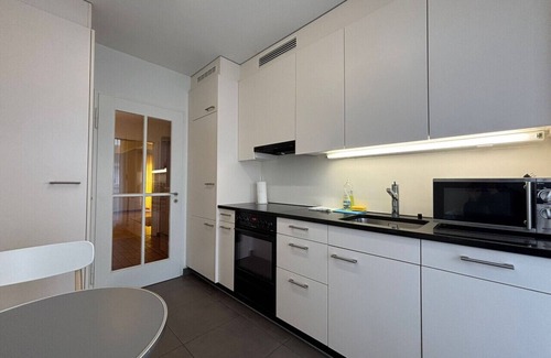 Muhlebach Apartment | Spacious 1BR near Opera - Mill 5.43