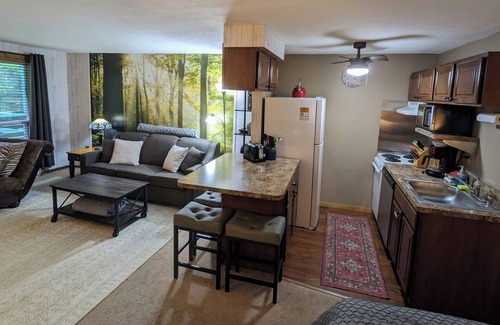 Snowshoe Condo | Guest Rated 10/10: Cozy Studio, Bike-Friendly & Steps to Slopes