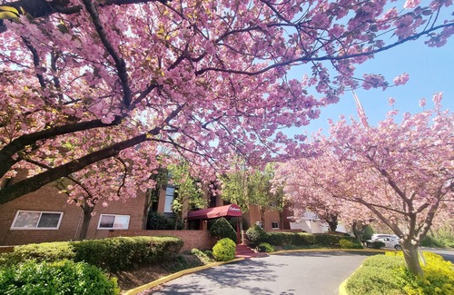 Elkins Park Apartment | Cozy 2-Bedroom Apartment with Pool in Elkins Park, PA