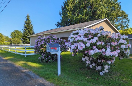 East Olympia House | Perfect Getaway: Pet-Friendly Home with Outdoor Space