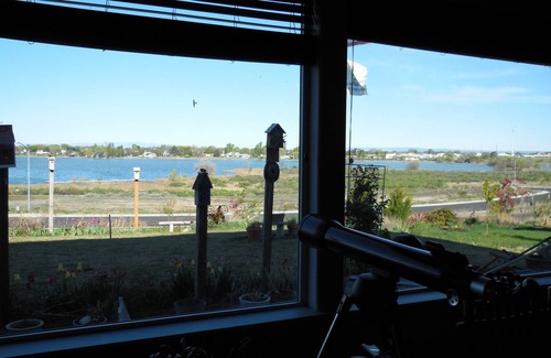 Moses Lake House | Executive 5BR Home by Moses Lake with Pool & Spa Amenities