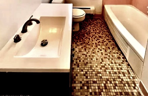 Lincoln Park Apartment | Updated Apartment in Quiet Lincoln Park Near Downtown