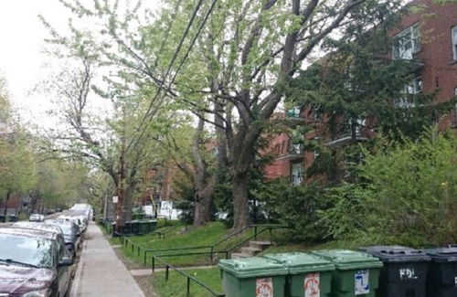 Cote-Des-Neiges—Notre-Dame-De-Grace Apartment | Spacious bedroom/Looking for a roommate