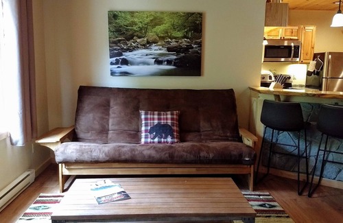 Lake Placid Apartment | Bright New Suite by Park: 9.6/10 Guest Rated & Family-Friendly