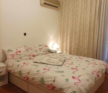 Kypseli House | Central Athens Double Room with Kitchen & Pet-Friendly Stay