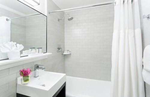 Downtown Boston Hotel | Discover a Pet-Friendly Oasis for Your Next Getaway