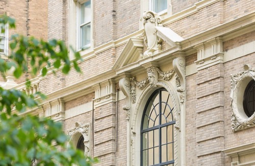 Downtown Boston Hotel | Discover a Pet-Friendly Oasis for Your Next Getaway