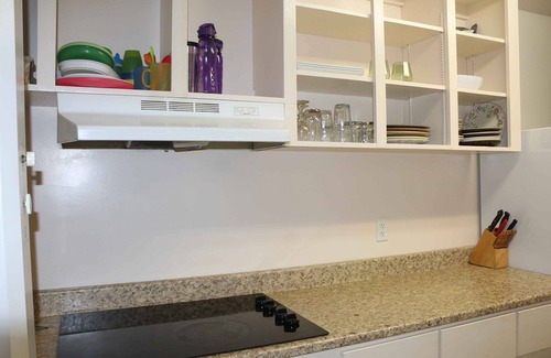 Halifax Apartment | SPACIOUS ECO-FRIENDLY SUITE with KITCHEN ON PARK