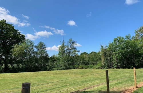 Lydney Apartment | Eco-Friendly Pet Retreat in Forest of Dean & Wye Valley