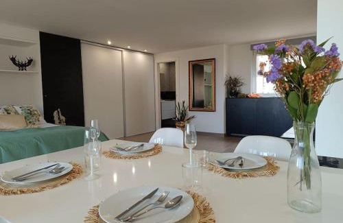 San Vicente del Raspeig Apartment | Convenient Studio Near the University with Family Amenities