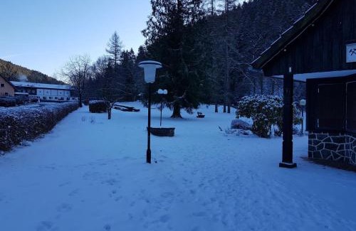 Wildemann House | Cozy Apartment in Upper Harz with River Access & Amenities