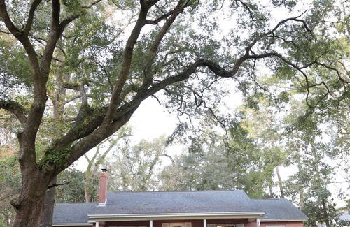 Tallahassee House | Pet-Friendly Mid-Cent Home Near FSU with Pool & Spa