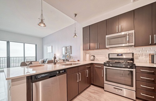 Texas Medical Center Apartment | Modern Apartment Near Texas Medical Center with Pool Access