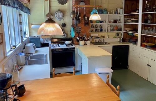 Greensboro House | Rustic Getaway on Caspian Lake: Pet-Friendly & Family Fun