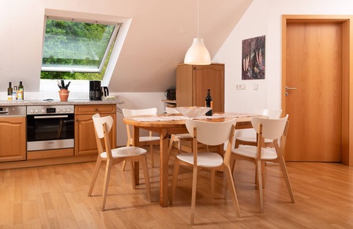 Loschwitz Apartment | Inviting Vacation Apartment on the Elbe Slope with Spa