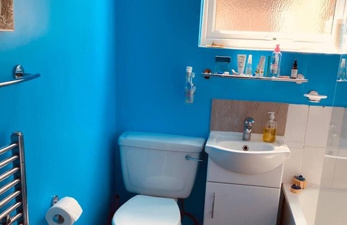 Wimbledon Apartment | Elegant Victorian Wimbledon Flat with Spa and Hot Tub