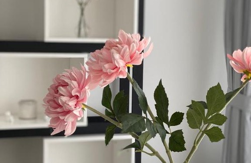 Holweide Apartment | Experience Spanish Flair in the Heart of Cologne