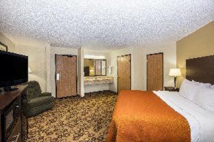 Cedar Falls Hotel | Pet-Friendly Retreat at AmericInn by Wyndham Cedar Falls