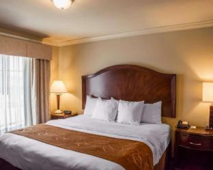 Forest Park Hotel | Convenient Comfort Suites Cincinnati North with Family Amenities