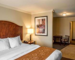 Forest Park Hotel | Convenient Comfort Suites Cincinnati North with Family Amenities