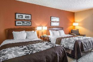 Fredericksburg Hotel | Pet-Friendly Retreat at Spark By Hilton Fredericksburg