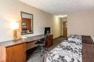 Fredericksburg Hotel | Pet-Friendly Retreat at Spark By Hilton Fredericksburg