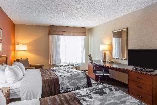 Fredericksburg Hotel | Pet-Friendly Retreat at Spark By Hilton Fredericksburg
