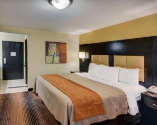 Grapevine Hotel | Convenient Comfort Inn Grapevine Near DFW Airport