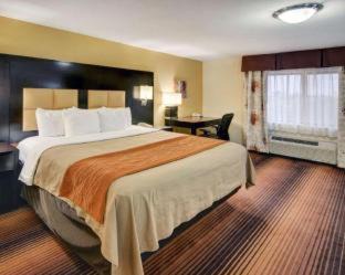 Grapevine Hotel | Convenient Comfort Inn Grapevine Near DFW Airport
