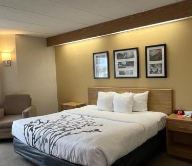 Lynchburg Hotel | Discover Sleep Inn Lynchburg: Pet & Child Friendly Stay