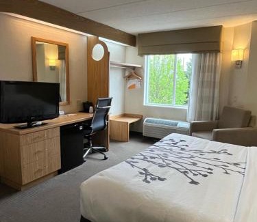 Lynchburg Hotel | Discover Sleep Inn Lynchburg: Pet & Child Friendly Stay