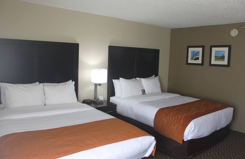 Matteson Hotel | Convenient Comfort Inn Matteson - Family-Friendly Amenities