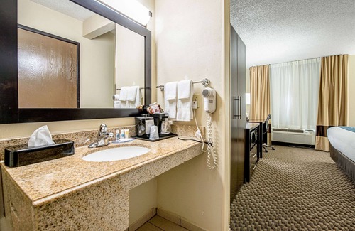 Matteson Hotel | Convenient Comfort Inn Matteson - Family-Friendly Amenities