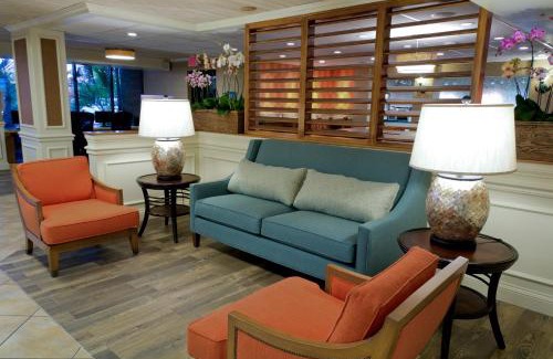 Sarasota Hotel | Explore Spark by Hilton Sarasota with Oceanfront Comfort