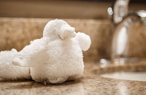 Smithfield Hotel | Guest Rated: Best Western Smithfield Inn with Family Amenities