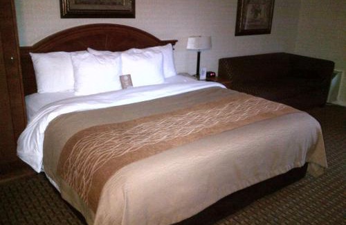 Markham Hotel | Comfort Inn - Toronto Northeast: Family-Friendly Retreat