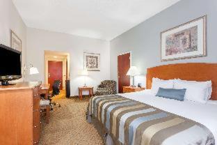 Winchester Hotel | Discover Spark By Hilton Winchester: Pet-Friendly Retreat