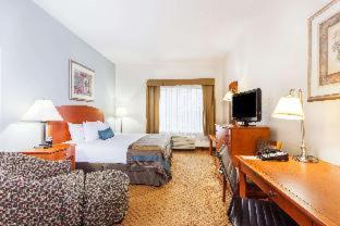 Winchester Hotel | Discover Spark By Hilton Winchester: Pet-Friendly Retreat