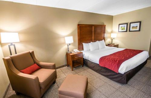 Wytheville Hotel | Pet-Friendly Comfort Inn Wytheville with Family Amenities