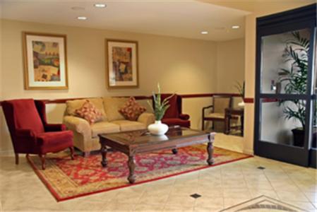 Yucca Valley Hotel | Discover SureStay Plus Hotel: Pet-Friendly & Poolside Retreat