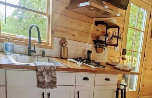 Pickens House | Mountain View Retreat: Award-Winning Tiny Home Escape