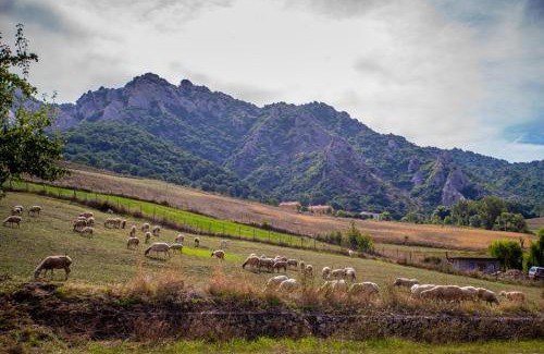 Castelmezzano Bed & Breakfast | Family-Friendly Escape at Spazio Natura - Rated 9.2/10