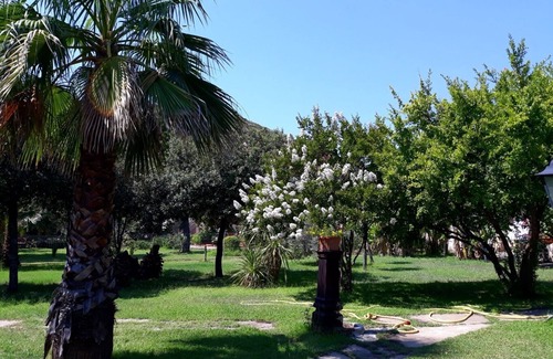 Posada House | Unforgettable Holiday Experience in Sardinia - Guest Rated 10/10