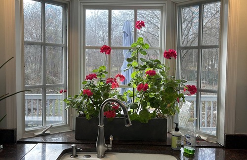 Norwalk House | Elegant Country Home Near New Canaan - Pet Friendly & Scenic
