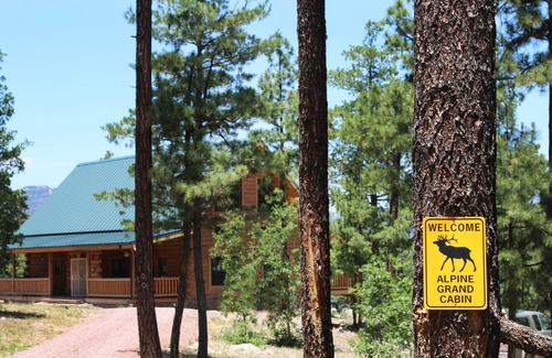 Alpine Cabin | Idyllic 6-Bedroom Cabin with Lake Views in Alpine, AZ