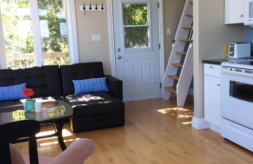 Cape Dauphin Cottage | Serene Ocean View Beach House with Pet-Friendly Amenities