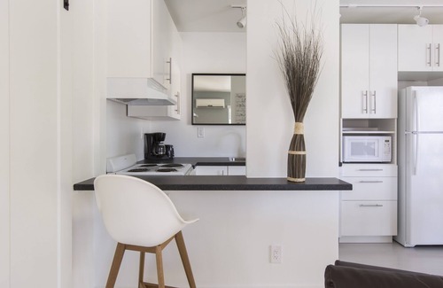 Coral Ridge Apartment | Unforgettable Canal and Pool Views in Fort Lauderdale